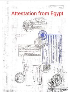 ترجمة وتصديق المستندات من مصر